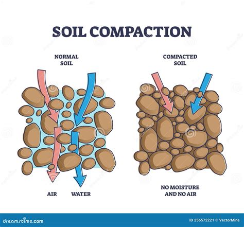 Soil compaction 